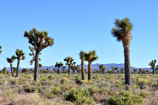 Tour image 9