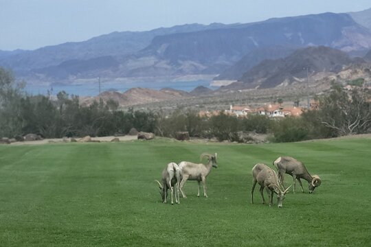 Tour image 6